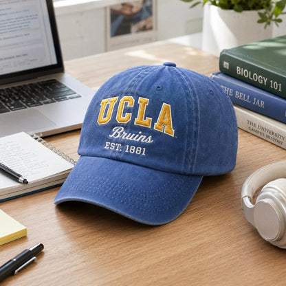 Custom University Hat, Embroidered College Cap, Vintage Wash Dad Hat, Game Day Apparel, School Spirit Gift, Tailgate Baseball Cap